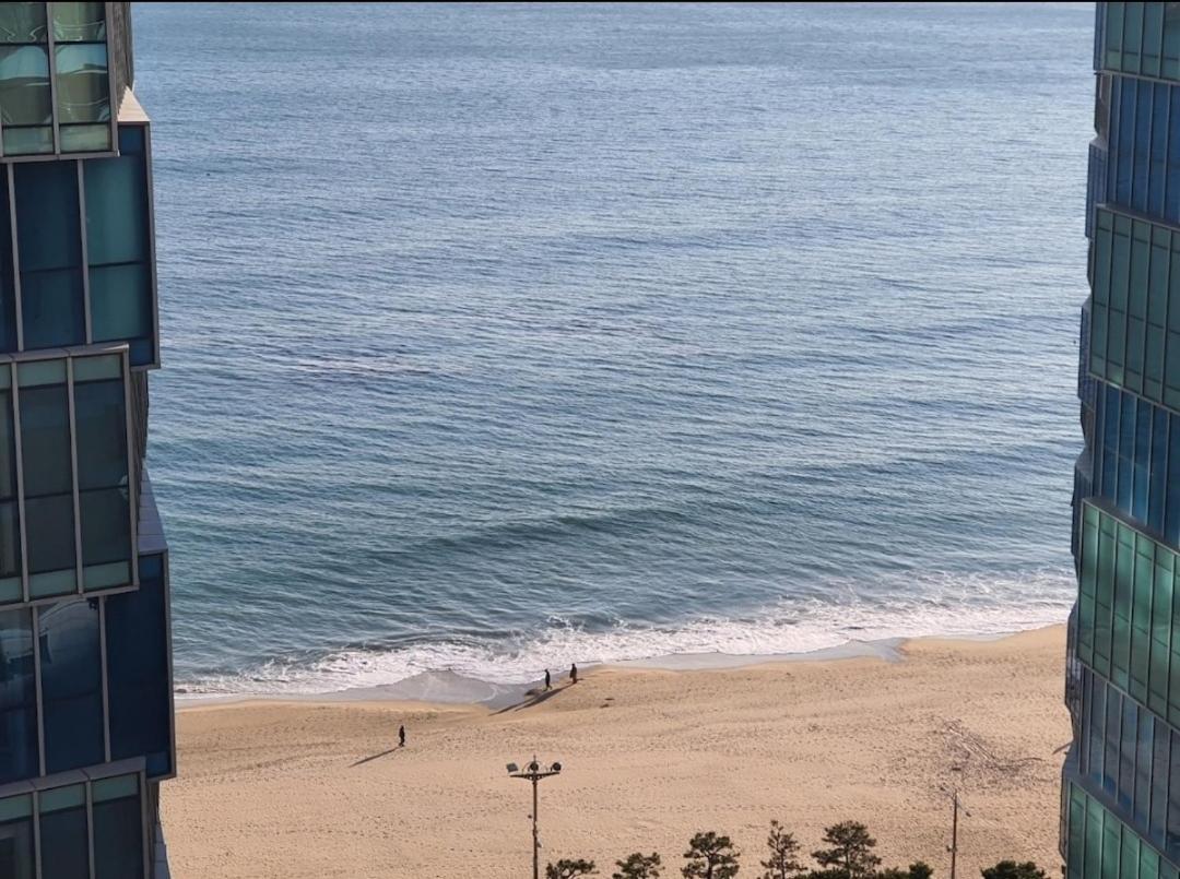Haeundae Lavender House-Irua Hotel Busan Ngoại thất bức ảnh